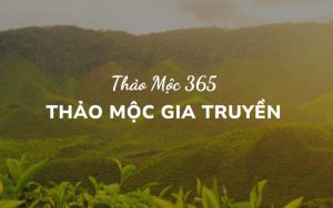 thương hiệu thảo mộc 365