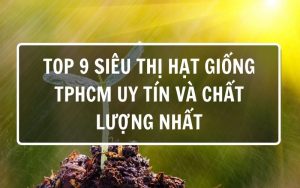 siêu thị hạt giống tphcm