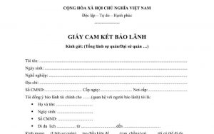 giấy cam kết bảo lãnh