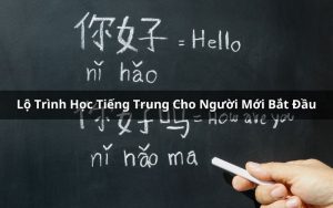 lộ trình học tiếng trung cho người mới bắt đầu