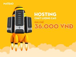 Dịch vụ Hosting tại Mắt Bão