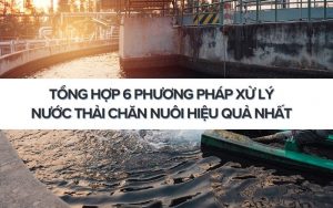 phương pháp xử lý nước thải chăn nuôi