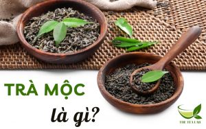 trà mộc là gì